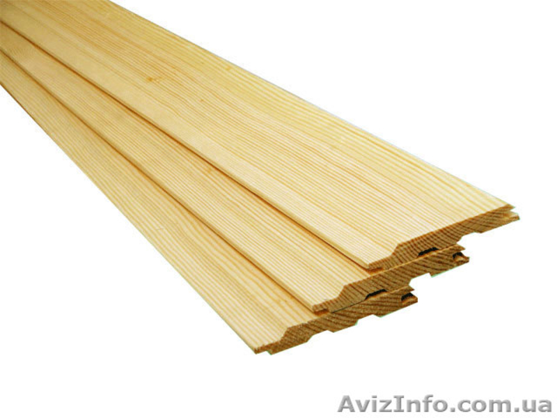 Сибирская лиственница Крым - <ro>Изображение</ro><ru>Изображение</ru> #5, <ru>Объявление</ru> #857919