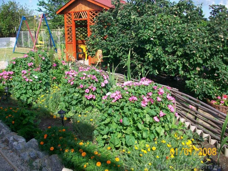 Здам жилье у моря. - <ro>Изображение</ro><ru>Изображение</ru> #6, <ru>Объявление</ru> #867548