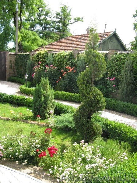 ОЗЕЛЕНЕНИЕ И САДОВЫЕ РАБОТЫ - <ro>Изображение</ro><ru>Изображение</ru> #1, <ru>Объявление</ru> #863605