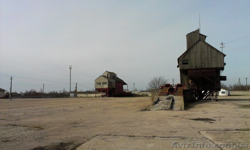 Продам действующее животноводческое предприятие в Крыму - <ro>Изображение</ro><ru>Изображение</ru> #3, <ru>Объявление</ru> #865298