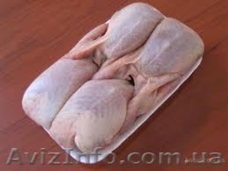 Яйцо перепелиное, мясо перепелов, мясо кролика. - <ro>Изображение</ro><ru>Изображение</ru> #3, <ru>Объявление</ru> #917983