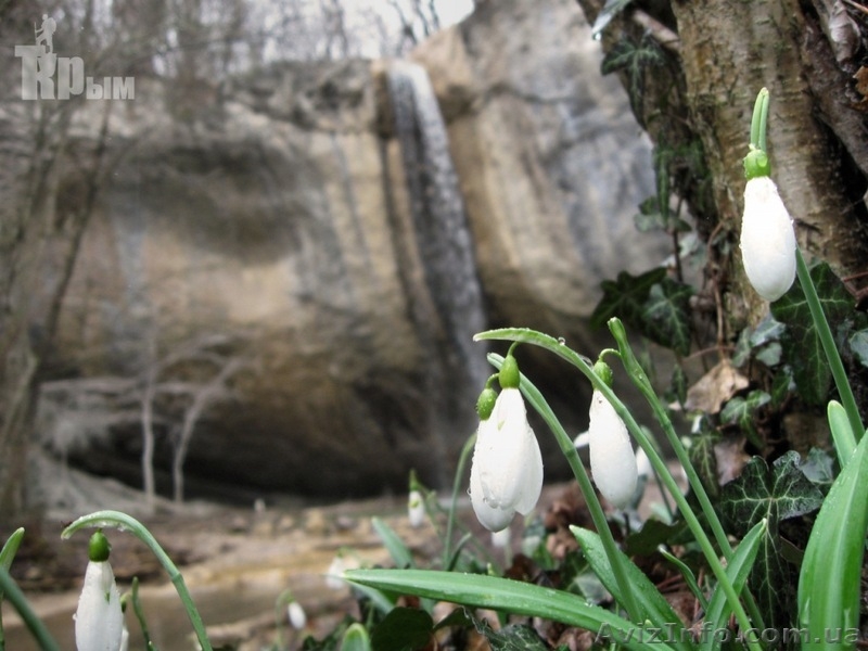 ЭКСТРЕМАЛЬНЫЙ ОТДЫХ, ПУТЕШЕСТВИЕ, ОТДЫХ У МОРЯ, ЭКСКУРСИИ ПО КРЫМ - <ro>Изображение</ro><ru>Изображение</ru> #3, <ru>Объявление</ru> #918906