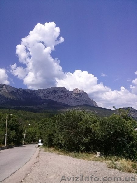 Отдых в Алупке, многопляжей. - <ro>Изображение</ro><ru>Изображение</ru> #3, <ru>Объявление</ru> #927590