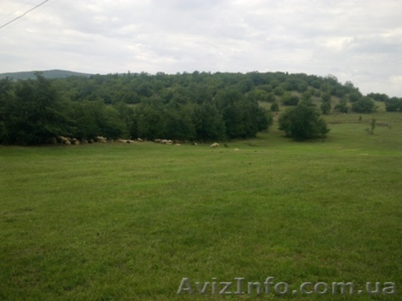 продам участок лкх 80 соток под горой БОЙКО - <ro>Изображение</ro><ru>Изображение</ru> #3, <ru>Объявление</ru> #460482