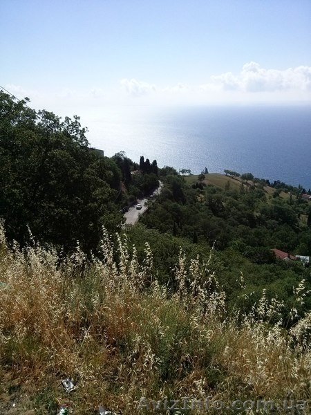 Отдых в Алупке, многопляжей. - <ro>Изображение</ro><ru>Изображение</ru> #4, <ru>Объявление</ru> #927590