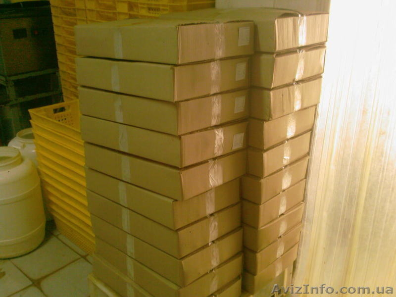 Куриное мясо-охлажденное и замороженое - <ro>Изображение</ro><ru>Изображение</ru> #3, <ru>Объявление</ru> #935679