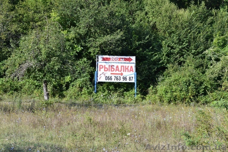 Рыбалка  в Голубинке - <ro>Изображение</ro><ru>Изображение</ru> #1, <ru>Объявление</ru> #940426