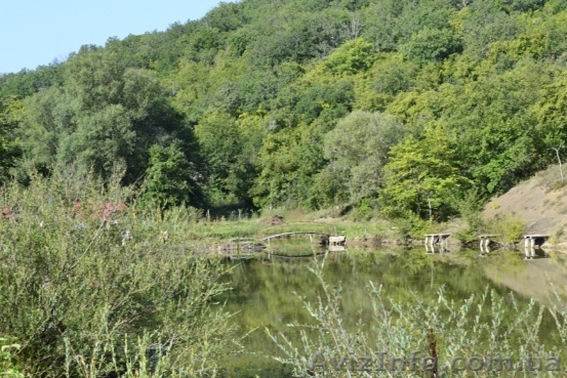 Рыбалка и отдых в Крыму, ловля карпа. - <ro>Изображение</ro><ru>Изображение</ru> #2, <ru>Объявление</ru> #940427