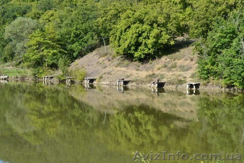 Рыбалка и отдых в Крыму, ловля карпа. - <ro>Изображение</ro><ru>Изображение</ru> #3, <ru>Объявление</ru> #940427