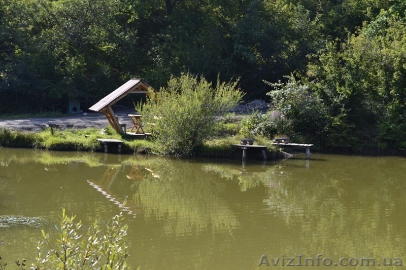 Отдых в горах Крыма, рыбалка в Голубинке - <ro>Изображение</ro><ru>Изображение</ru> #5, <ru>Объявление</ru> #940429