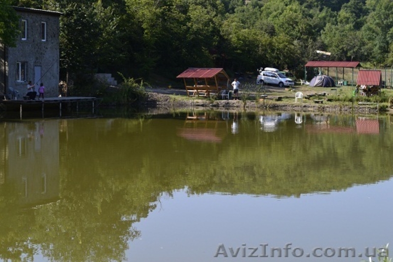 Рыбалка и отдых в Крыму, ловля карпа. - <ro>Изображение</ro><ru>Изображение</ru> #4, <ru>Объявление</ru> #940427