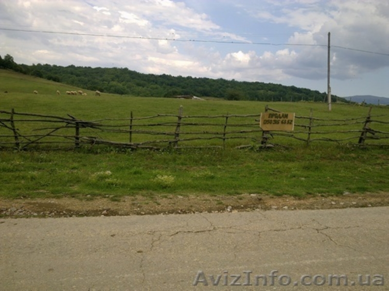 земельный участок  80 соток лкх - <ro>Изображение</ro><ru>Изображение</ru> #2, <ru>Объявление</ru> #495556