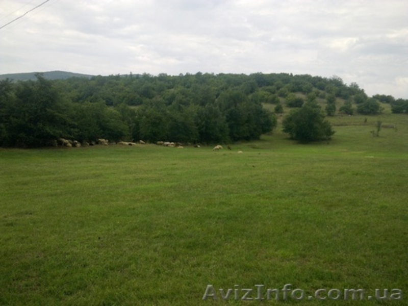 земельный участок  80 соток лкх - <ro>Изображение</ro><ru>Изображение</ru> #3, <ru>Объявление</ru> #495556