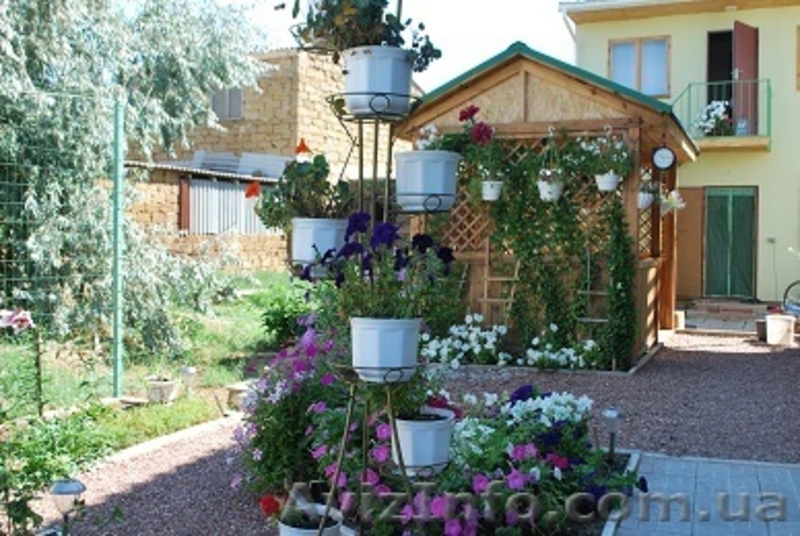 гостевой дом Виктана. Новофедоровка, Западный Крым - <ro>Изображение</ro><ru>Изображение</ru> #4, <ru>Объявление</ru> #950373