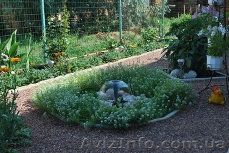 гостевой дом Виктана. Новофедоровка, Западный Крым - <ro>Изображение</ro><ru>Изображение</ru> #5, <ru>Объявление</ru> #950373