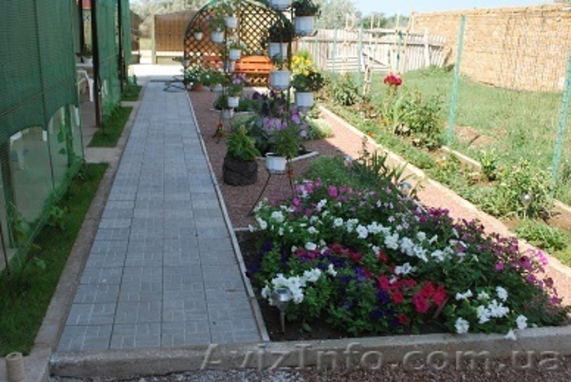 гостевой дом Виктана. Новофедоровка, Западный Крым - <ro>Изображение</ro><ru>Изображение</ru> #6, <ru>Объявление</ru> #950373