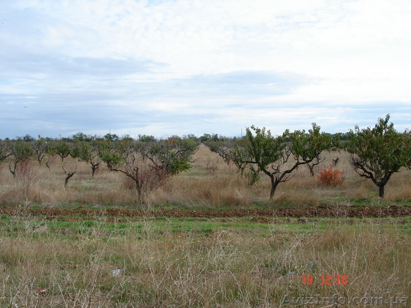 Продаётся несколько участков по 10 соток под индивидуальное строительство. - <ro>Изображение</ro><ru>Изображение</ru> #1, <ru>Объявление</ru> #955482