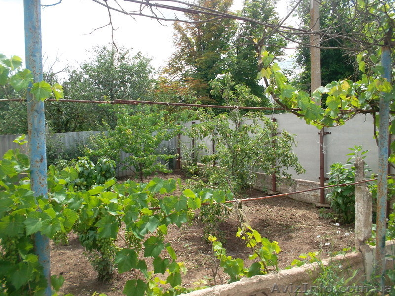 продам дом,большой сад - <ro>Изображение</ro><ru>Изображение</ru> #4, <ru>Объявление</ru> #983664