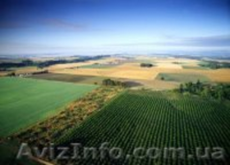 Продам 500 га отличных земель под орошение в Крыму  - <ro>Изображение</ro><ru>Изображение</ru> #2, <ru>Объявление</ru> #1003632