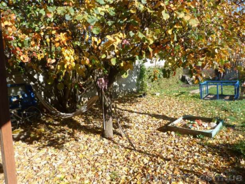 1/2дома возле ТНУ первая линия-под большой бизнес или другое  - <ro>Изображение</ro><ru>Изображение</ru> #5, <ru>Объявление</ru> #1017973