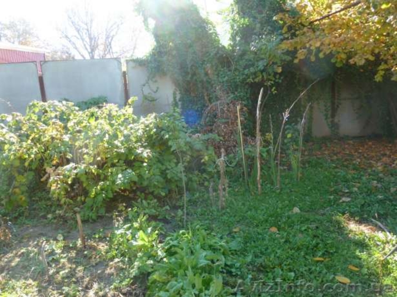 1/2дома возле ТНУ первая линия-под большой бизнес или другое  - <ro>Изображение</ro><ru>Изображение</ru> #7, <ru>Объявление</ru> #1017973