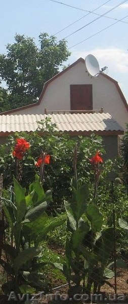 Приглашает Вас на недорогой семейный отдых в Крыму на берегу Черного моря! - <ro>Изображение</ro><ru>Изображение</ru> #3, <ru>Объявление</ru> #1102540