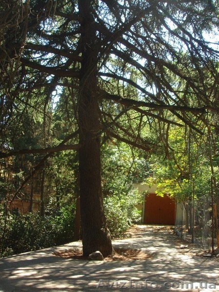 Продам участок в центре г.Ялты 6.7 соток. - <ro>Изображение</ro><ru>Изображение</ru> #2, <ru>Объявление</ru> #1136584