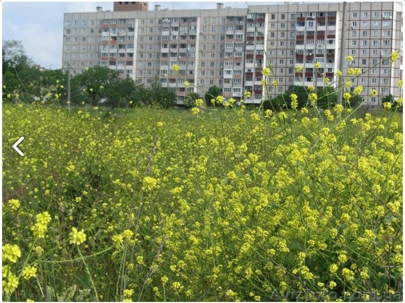 СРОЧНО ПРОДАМ хорошую 3-комнатную квартиру - <ro>Изображение</ro><ru>Изображение</ru> #1, <ru>Объявление</ru> #1160249