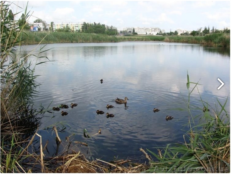 СРОЧНО ПРОДАМ хорошую 3-комнатную квартиру - <ro>Изображение</ro><ru>Изображение</ru> #3, <ru>Объявление</ru> #1160249