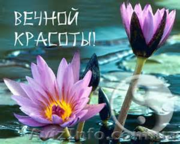 АРТХА - центр духовного развития приглашает. - <ro>Изображение</ro><ru>Изображение</ru> #3, <ru>Объявление</ru> #1183917