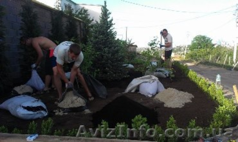 Благоустройство территорий, ландшафтный дизайн - <ro>Изображение</ro><ru>Изображение</ru> #3, <ru>Объявление</ru> #1207650