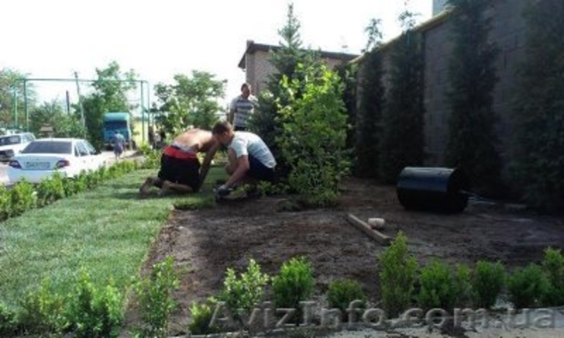 Благоустройство территорий, ландшафтный дизайн - <ro>Изображение</ro><ru>Изображение</ru> #4, <ru>Объявление</ru> #1207650