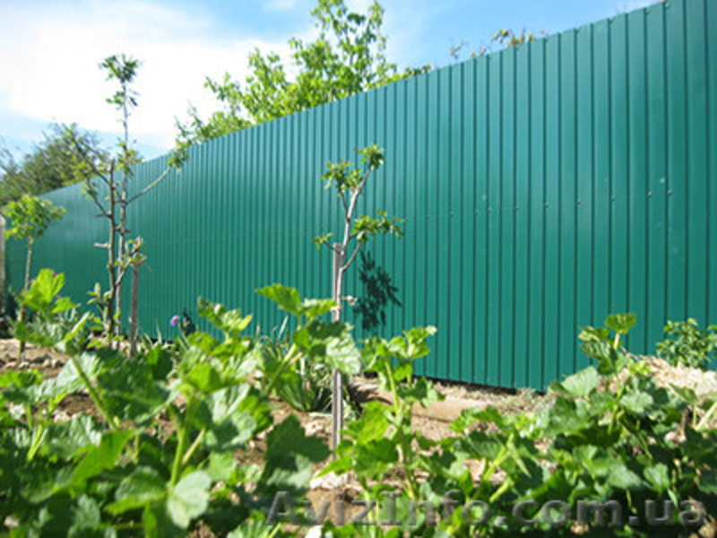 Забор из профнастила Севастополь. - <ro>Изображение</ro><ru>Изображение</ru> #1, <ru>Объявление</ru> #1207635