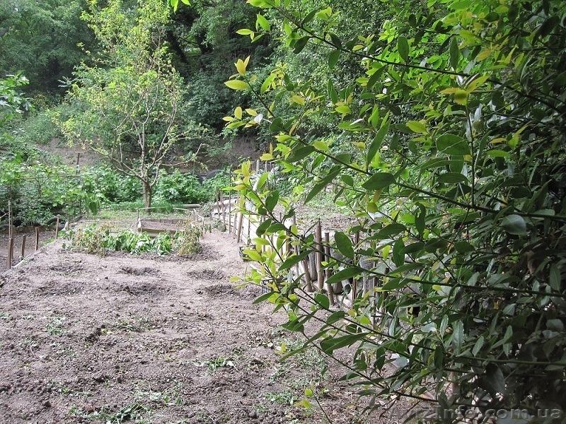 Продам земельный участок в пригороде Ялты - <ro>Изображение</ro><ru>Изображение</ru> #1, <ru>Объявление</ru> #1275506