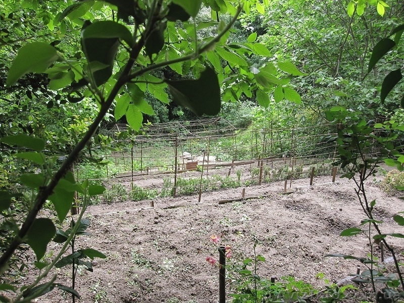 Продам земельный участок в пригороде Ялты - <ro>Изображение</ro><ru>Изображение</ru> #4, <ru>Объявление</ru> #1275506