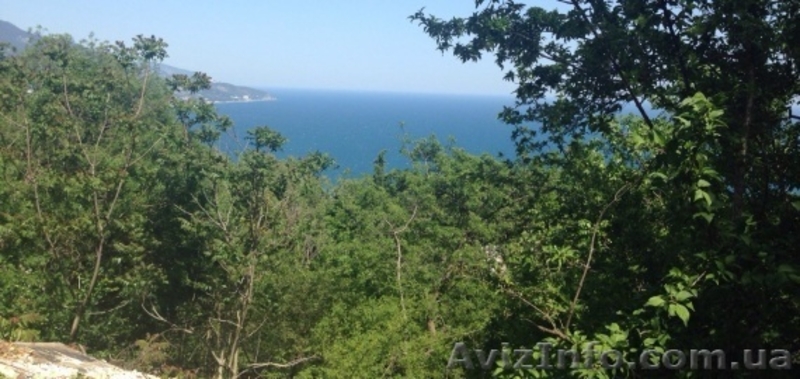 Участки по 10 соток. Ялта. - <ro>Изображение</ro><ru>Изображение</ru> #1, <ru>Объявление</ru> #1295848