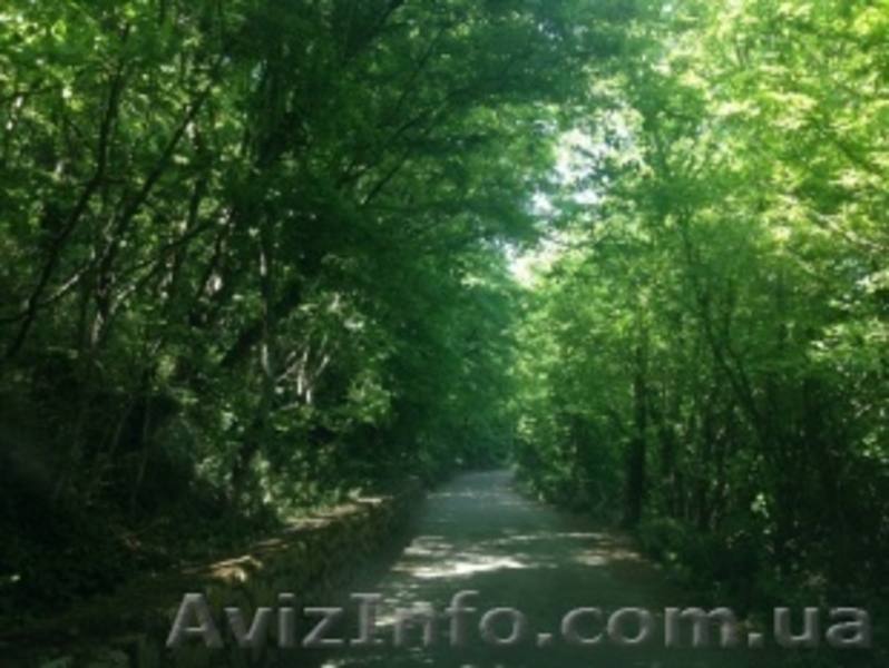 Участки по 10 соток. Ялта. - <ro>Изображение</ro><ru>Изображение</ru> #2, <ru>Объявление</ru> #1295848