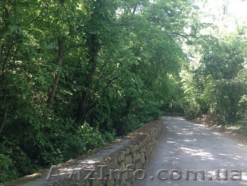 Участки по 10 соток. Ялта. - <ro>Изображение</ro><ru>Изображение</ru> #3, <ru>Объявление</ru> #1295848