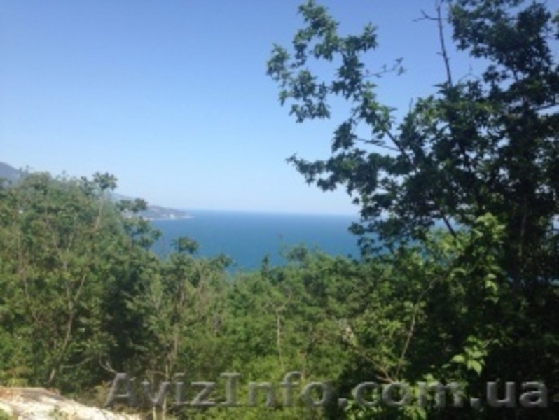 Участки по 10 соток. Ялта. - <ro>Изображение</ro><ru>Изображение</ru> #4, <ru>Объявление</ru> #1295848