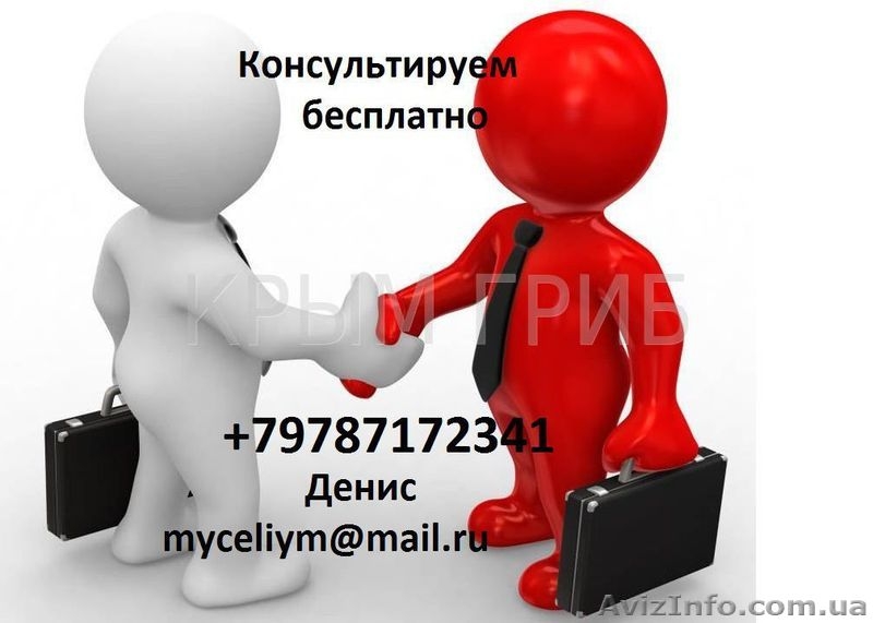 Мицелий грибов вешенка - <ro>Изображение</ro><ru>Изображение</ru> #2, <ru>Объявление</ru> #143644