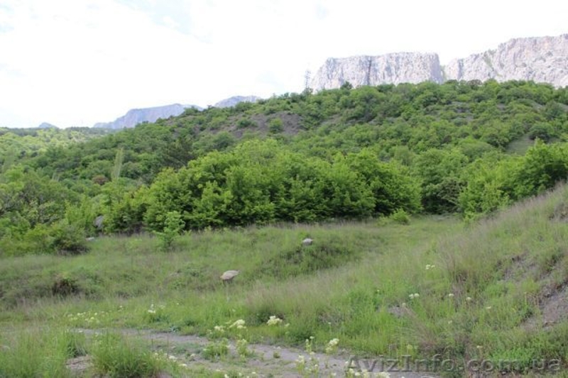 Продается земельный участок  5 сот. Парковое г. Ялта - <ro>Изображение</ro><ru>Изображение</ru> #3, <ru>Объявление</ru> #1309592