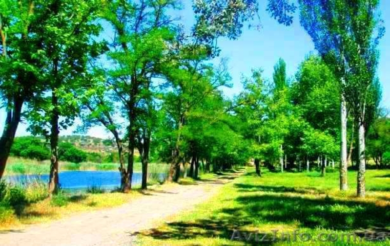 ДАЧА В ЛЮБИМОВКЕ - <ro>Изображение</ro><ru>Изображение</ru> #2, <ru>Объявление</ru> #1171039