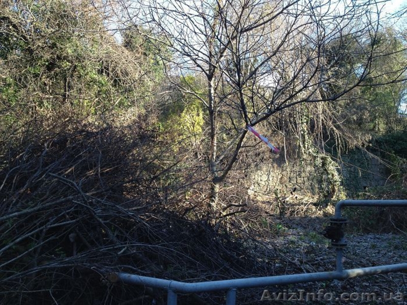 Продается участок в тихом месте г. Ялта п.Восход 8сот. - <ro>Изображение</ro><ru>Изображение</ru> #1, <ru>Объявление</ru> #1351454