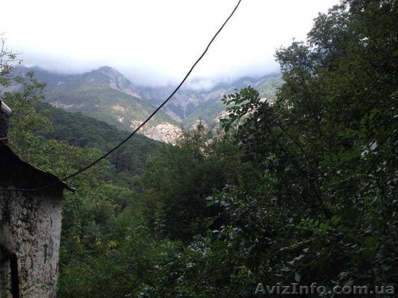 Продается участок в Ялте (Виноградное) 63 сот - <ro>Изображение</ro><ru>Изображение</ru> #2, <ru>Объявление</ru> #1347473