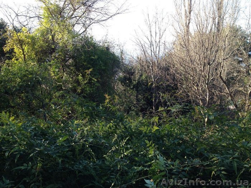 Продается участок в тихом месте г. Ялта п.Восход 8сот. - <ro>Изображение</ro><ru>Изображение</ru> #2, <ru>Объявление</ru> #1351454