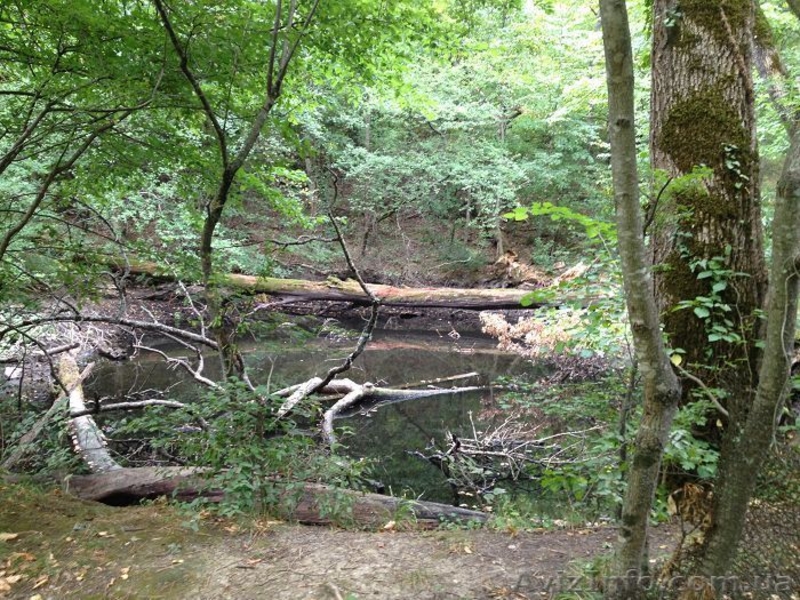 Продается участок в Ялте (Виноградное) 63 сот - <ro>Изображение</ro><ru>Изображение</ru> #3, <ru>Объявление</ru> #1347473