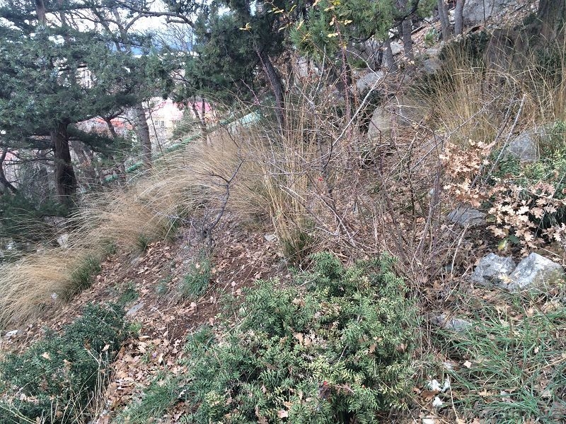 Продается участок 6 сот в Ялте (пгт Гаспра) - <ro>Изображение</ro><ru>Изображение</ru> #2, <ru>Объявление</ru> #1368786