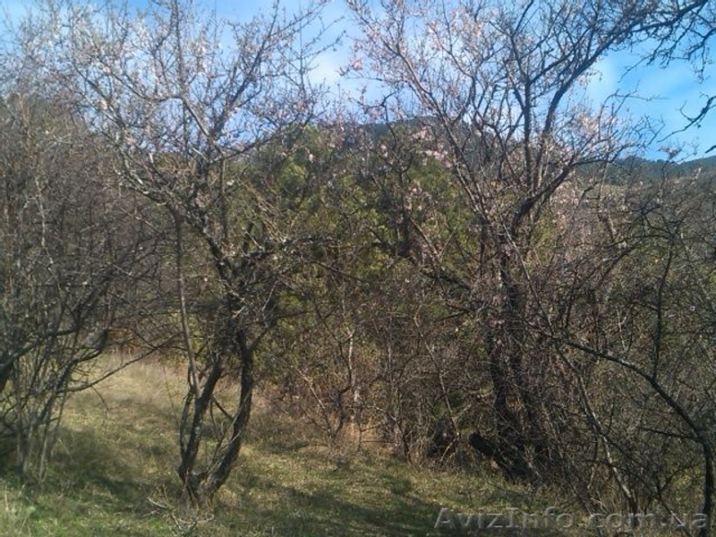 Продается видовой участок в Ялте (Васильевка). - <ro>Изображение</ro><ru>Изображение</ru> #4, <ru>Объявление</ru> #1389801
