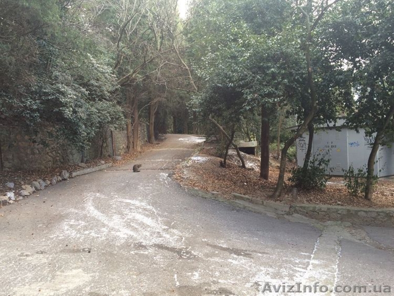 Продается участок в Мисхоре (Ялта) 6 сот - <ro>Изображение</ro><ru>Изображение</ru> #3, <ru>Объявление</ru> #1380621