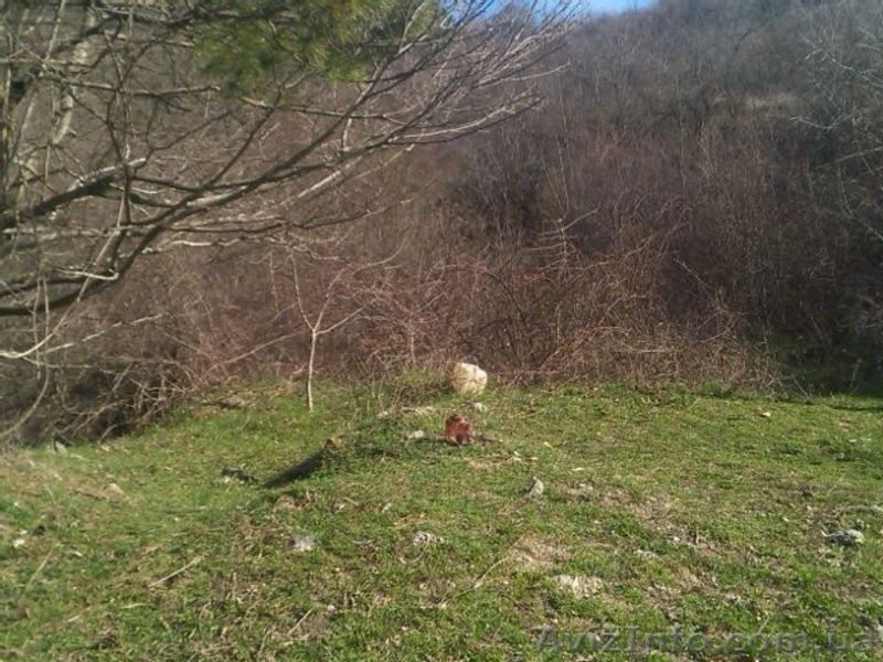 Продается ровный участок в Ялте (Васильевка). - <ro>Изображение</ro><ru>Изображение</ru> #3, <ru>Объявление</ru> #1389802